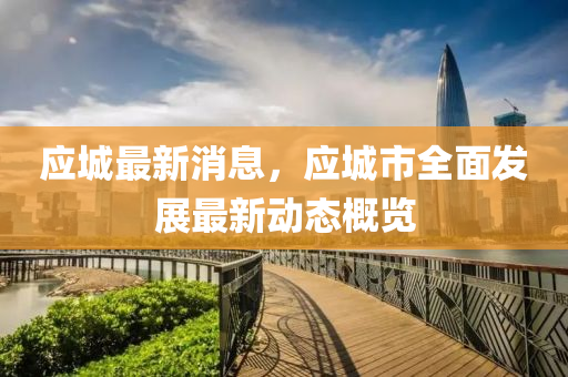 應(yīng)城最新消息，應(yīng)城市全面發(fā)展最新動(dòng)態(tài)概覽液壓動(dòng)力機(jī)械,元件制造