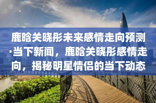 鹿晗關曉彤未來感情走向預測·當下新聞，鹿晗關曉彤感情走向，揭秘明星情侶的當下動態(tài)液壓動力機械,元件制造