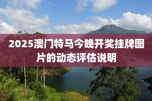 2025澳門特馬今晚開獎掛牌圖片的動態(tài)評估說明液壓動力機(jī)械,元件制造