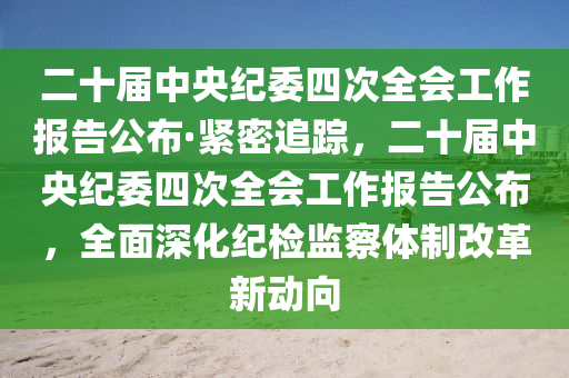 二十屆中央紀委四次全會工作報告公布·緊密追蹤，二十屆中央紀委四次全會工作報告公布，全面深化紀檢監(jiān)察體制改革新動向液壓動力機械,元件制造