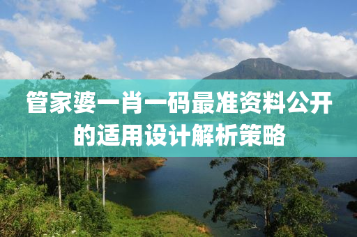 管家婆一肖一碼最準資料公開的適用設計解析策略液壓動力機械,元件制造