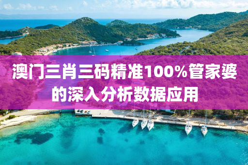 澳門三肖三碼精準(zhǔn)100%管家婆的液壓動力機械,元件制造深入分析數(shù)據(jù)應(yīng)用