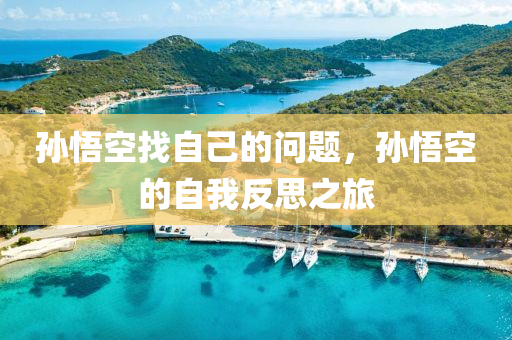 孫悟空找自己的問題，孫液壓動力機(jī)械,元件制造悟空的自我反思之旅