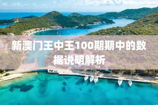 新澳門王中王100期期中的數(shù)據(jù)說明解析液壓動力機械,元件制造