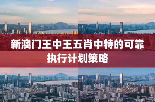新澳門王中王五肖中特的可靠執(zhí)行計(jì)劃策略液壓動(dòng)力機(jī)械,元件制造