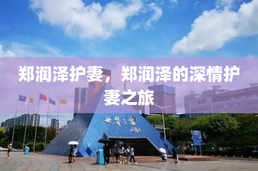 鄭潤澤護(hù)妻，鄭潤澤的深情護(hù)妻之旅液壓動(dòng)力機(jī)械,元件制造