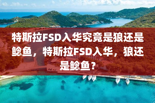 特斯拉FSD入華究竟是狼還是鯰魚，特斯拉FSD入華，狼還是鯰魚？液壓動力機(jī)械,元件制造