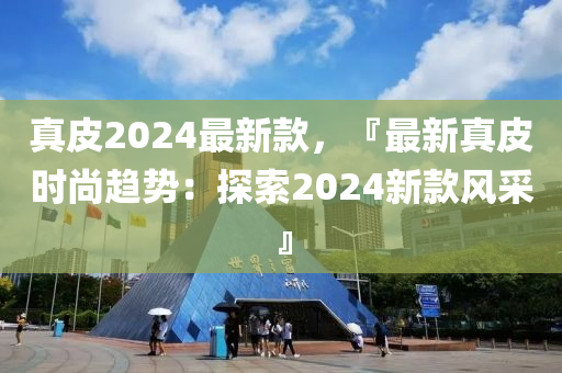 真皮2024最新款，『最新真皮時尚液壓動力機械,元件制造趨勢：探索2024新款風采』