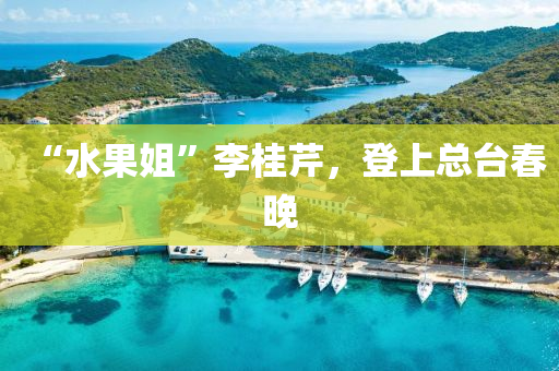 “水果姐”李桂芹，登上總臺(tái)春晚液壓動(dòng)力機(jī)械,元件制造