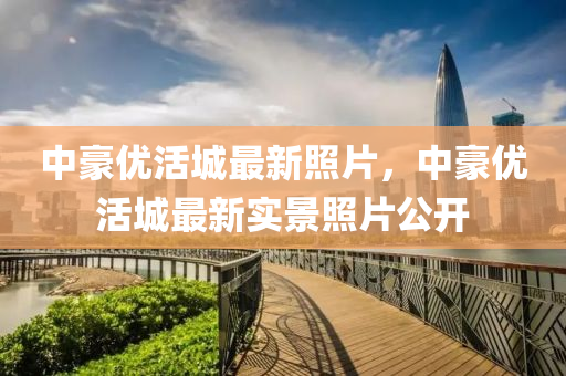 中豪優(yōu)活城最新照片，中豪優(yōu)活城最新實景照片公開液壓動力機械,元件制造