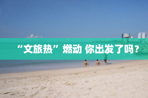 “文旅熱”燃動(dòng) 你出發(fā)了嗎？液壓動(dòng)力機(jī)械,元件制造