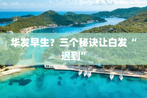 華發(fā)早生液壓動力機械,元件制造？三個秘訣讓白發(fā)“遲到”