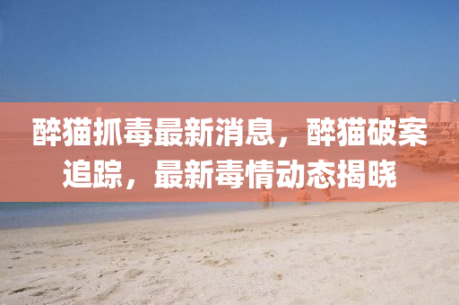 醉貓抓毒最新消息，醉貓破案追蹤，最新毒情動態(tài)揭曉液壓動力機械,元件制造