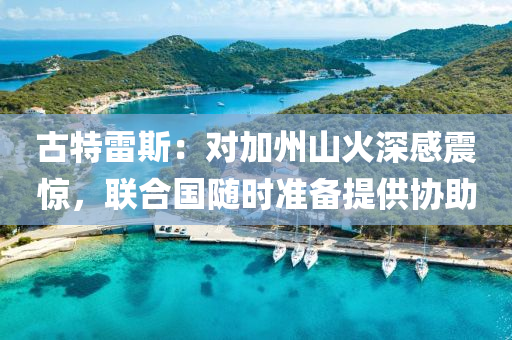 古特雷斯：對(duì)加州山火深感震驚，聯(lián)合國隨時(shí)準(zhǔn)備提供協(xié)助液壓動(dòng)力機(jī)械,元件制造