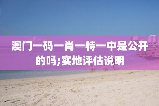 澳門液壓動力機(jī)械,元件制造一碼一肖一特一中是公開的嗎;實地評估說明