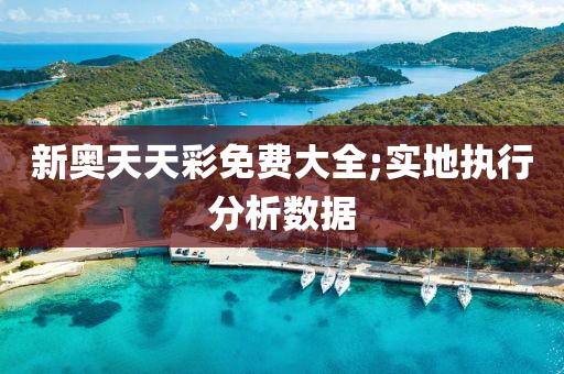 新奧天天彩免費大全;實地執(zhí)行分析數據液壓動力機械,元件制造