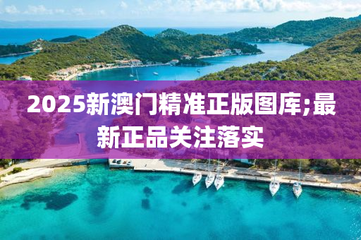 2025新澳門精準正液壓動力機械,元件制造版圖庫;最新正品關注落實