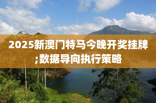 2025新澳門特馬今晚開獎掛牌;數據導向執(zhí)行策略液壓動力機械,元件制造