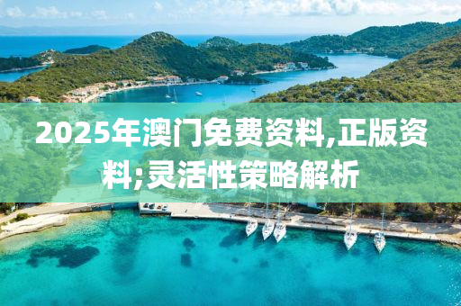 2025年澳門免費(fèi)資料,正版資料;靈活性策略解析液壓動(dòng)力機(jī)械,元件制造