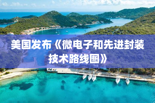 美國(guó)發(fā)布《液壓動(dòng)力機(jī)械,元件制造微電子和先進(jìn)封裝技術(shù)路線圖》