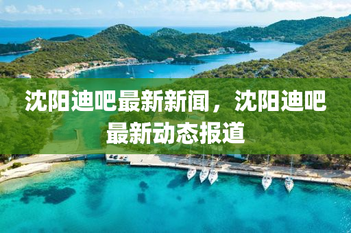 沈液壓動(dòng)力機(jī)械,元件制造陽(yáng)迪吧最新新聞，沈陽(yáng)迪吧最新動(dòng)態(tài)報(bào)道