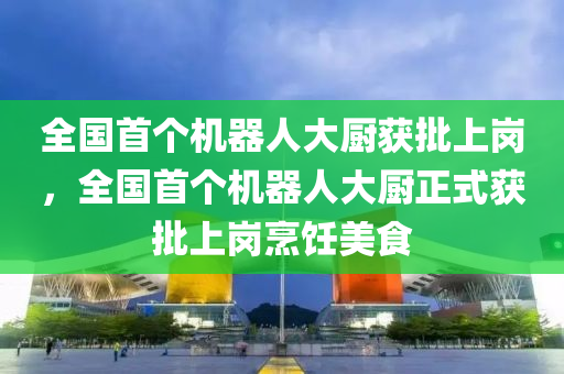 全國首個機(jī)器人大廚獲批上崗，全國首個機(jī)器人大廚正式獲批上崗烹飪美食液壓動力機(jī)械,元件制造