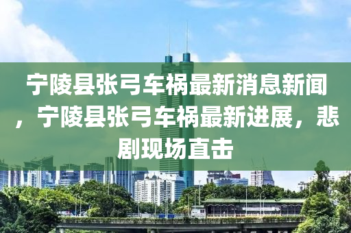 寧陵縣張弓車禍最新消息新聞，寧陵縣張弓車禍最新進展，悲劇現(xiàn)場直擊液壓動力機械,元件制造