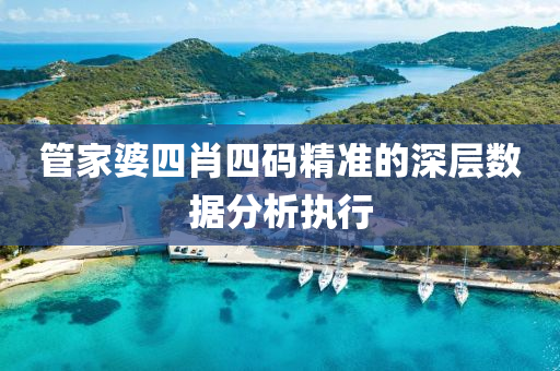 管家婆四肖四碼精準(zhǔn)的深層數(shù)據(jù)分析執(zhí)行液壓動(dòng)力機(jī)械,元件制造
