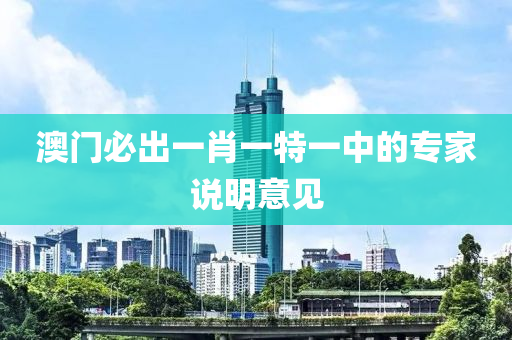 澳門必液壓動力機械,元件制造出一肖一特一中的專家說明意見