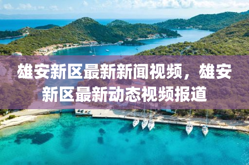 雄安新區(qū)最新新聞視頻，雄安新區(qū)最新動態(tài)視頻報道液壓動力機械,元件制造
