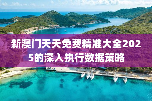 新澳門天天免費精準大全液壓動力機械,元件制造2025的深入執(zhí)行數(shù)據(jù)策略