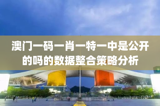 澳門一碼一肖一特一中是公開的嗎的液壓動(dòng)力機(jī)械,元件制造數(shù)據(jù)整合策略分析