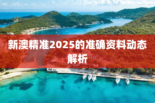 新澳精準(zhǔn)2025的準(zhǔn)確資料動態(tài)解析液壓動力機(jī)械,元件制造