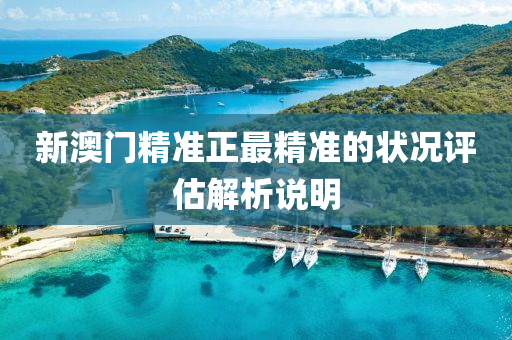 新澳門精準(zhǔn)正最精準(zhǔn)的狀況評(píng)估解析說明液壓動(dòng)力機(jī)械,元件制造