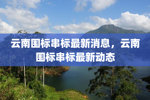 云南圍標液壓動力機械,元件制造串標最新消息，云南圍標串標最新動態(tài)