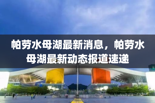 帕勞水母湖最新消息，帕勞水母湖最新動態(tài)報道速遞