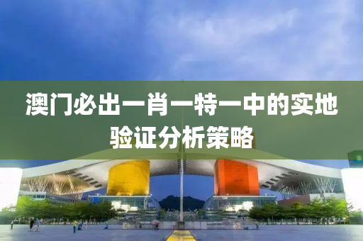 澳門必出一肖一特一中的實地驗證分析策略液壓動力機械,元件制造