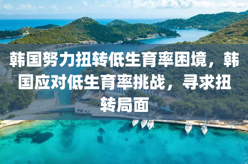 韓國努力扭轉(zhuǎn)低生育率困境，韓國應(yīng)對低生育率挑戰(zhàn)，尋求扭轉(zhuǎn)局面液壓動力機械,元件制造