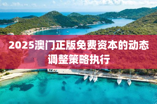 2液壓動力機械,元件制造025澳門正版免費資本的動態(tài)調整策略執(zhí)行