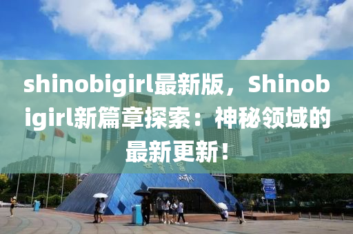shinobigirl最新版，Shinobigirl新篇章探索：神秘領(lǐng)域的最新更新！液壓動(dòng)力機(jī)械,元件制造