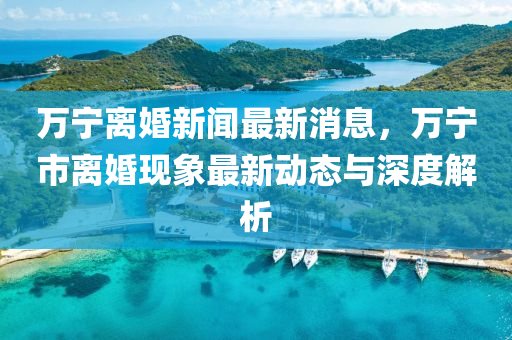 萬寧離婚新聞最新消息，萬寧市離婚現(xiàn)象最新動態(tài)與深度解析液壓動力機械,元件制造
