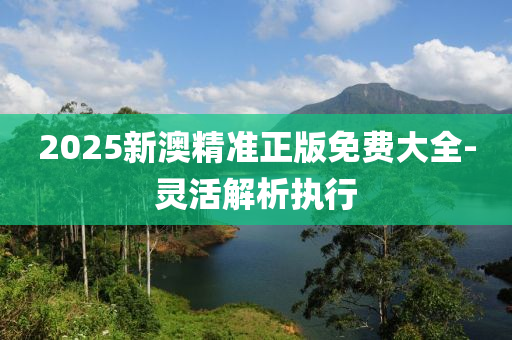 2025新澳精準(zhǔn)正版免費(fèi)大全-靈活解析液壓動力機(jī)械,元件制造執(zhí)行