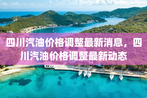 四川汽油價(jià)液壓動力機(jī)械,元件制造格調(diào)整最新消息，四川汽油價(jià)格調(diào)整最新動態(tài)