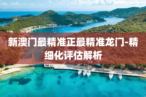 新澳門(mén)最精準(zhǔn)正最精準(zhǔn)龍門(mén)-精細(xì)化評(píng)估解析液壓動(dòng)力機(jī)械,元件制造