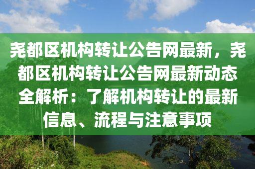 堯都區(qū)機(jī)構(gòu)轉(zhuǎn)讓公告網(wǎng)最新，堯都區(qū)機(jī)構(gòu)轉(zhuǎn)讓公告網(wǎng)最新動態(tài)全解析：了解機(jī)液壓動力機(jī)械,元件制造構(gòu)轉(zhuǎn)讓的最新信息、流程與注意事項