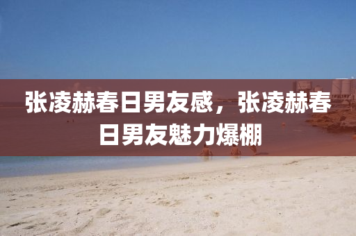 張凌赫春日男友感，張凌赫春日男友魅力爆液壓動力機械,元件制造棚