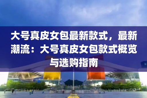 大號真皮女包最新款式，最新潮流：大號真皮女包款式概覽與選購指南液壓動(dòng)力機(jī)械,元件制造