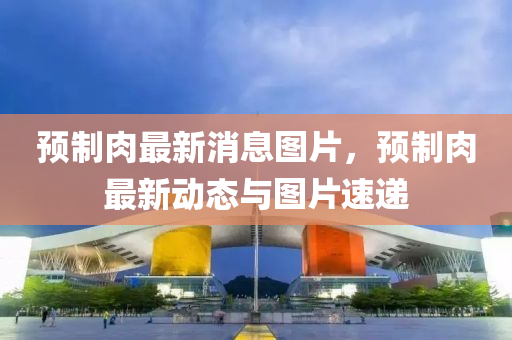 預(yù)制肉最新消息圖片，預(yù)制肉最新動(dòng)態(tài)與圖片速遞液壓動(dòng)力機(jī)械,元件制造