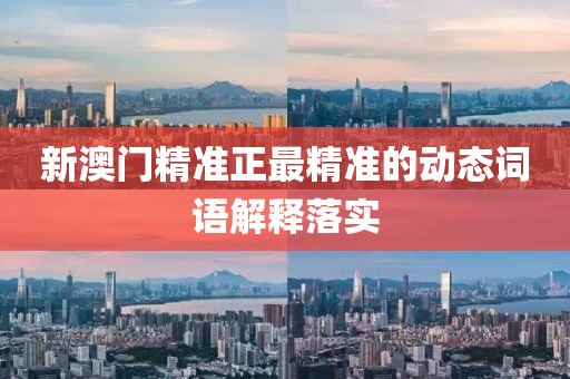 新澳門精準正最精準的動態(tài)詞語解釋落實液壓動力機械,元件制造