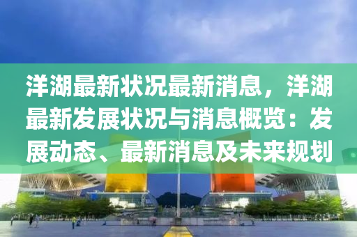 洋湖最新狀況最新消息，洋湖最新發(fā)展?fàn)顩r與消息概覽：發(fā)展動態(tài)、最新消息及未來規(guī)劃液壓動力機械,元件制造